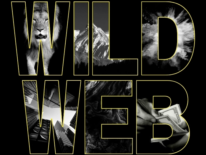 Website Development Studio WildWeb